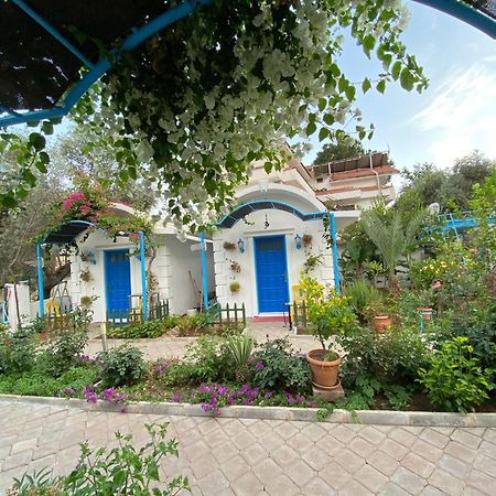 Sunmed Lodge Олудениз Экстерьер фото